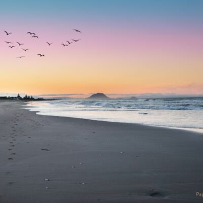 Papamoa tee Thumbnail